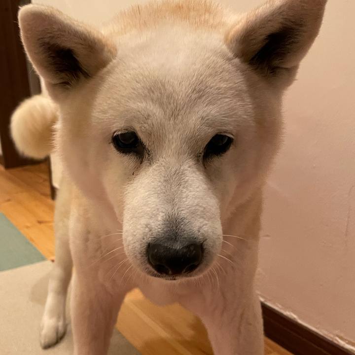 58763e3c d41b 4892 ac29 823865d5b435 1681217774407