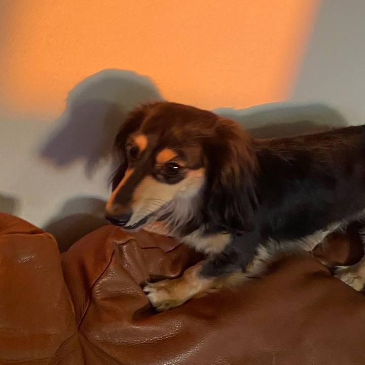 58764bb5 dbc8 4df2 ac10 6191218af612 1742504725414