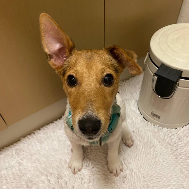 58764e36 0b5f 43ad 816e 854841a2b873 1763206524162