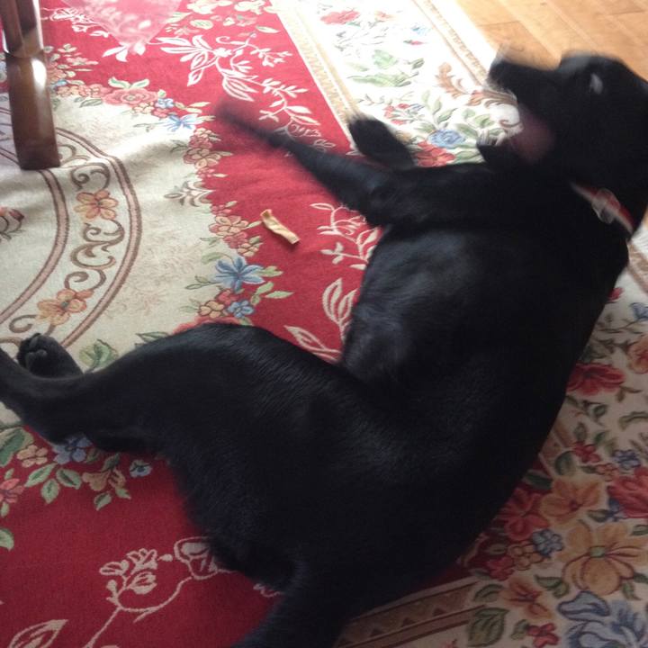 58765d43 0c3b 4e5f 8f9e 356e07d8d689 1562492120854