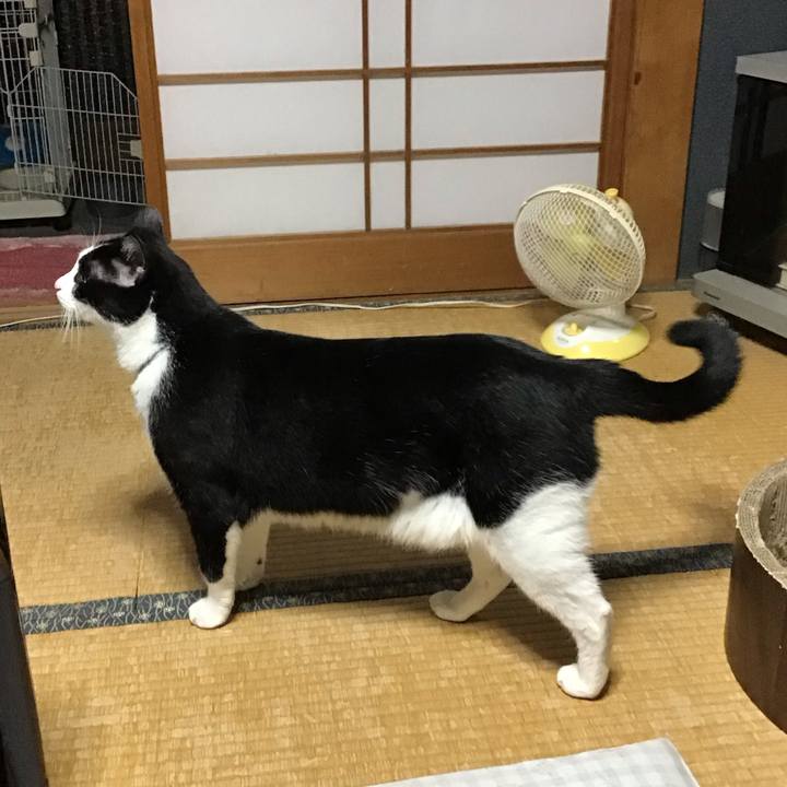 5876cf19 230a 4e6c af09 c00baf941acc 1727089146832