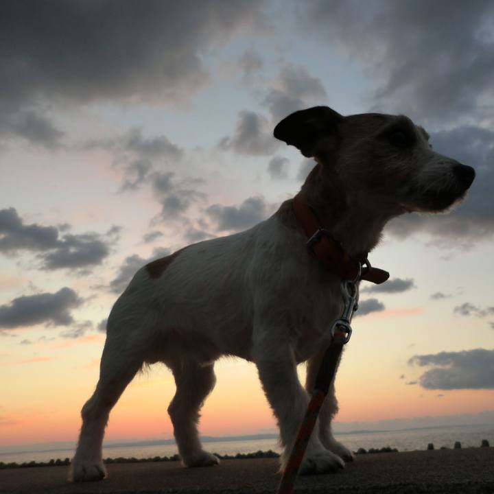 58771fac c05c 4150 bf27 42275eac729f 1553344347233