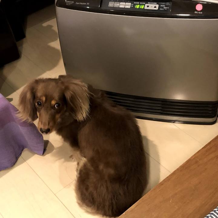 58776f66 44ea 4d05 bedd 47cb1df7203a 1603090396993