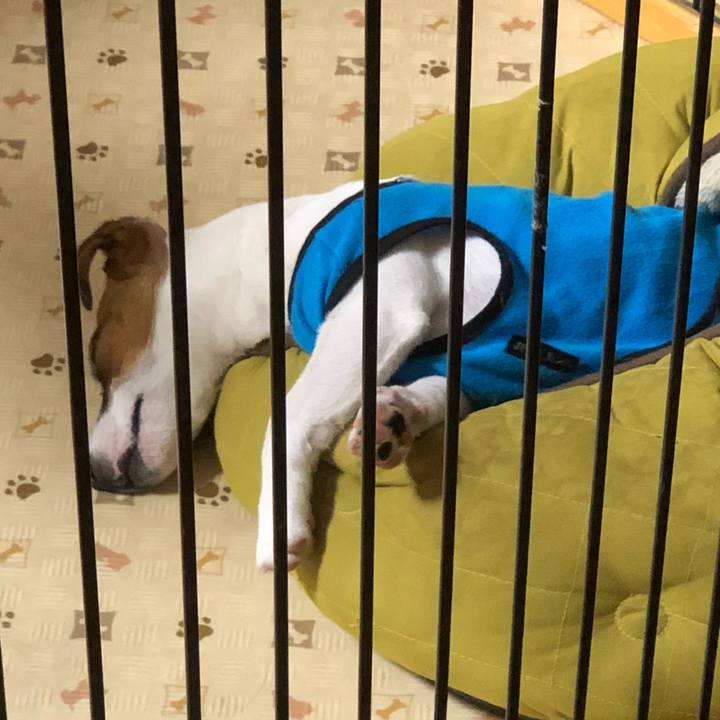 5877702c ad0f 4103 9a46 ad336e8f8af8 1524044889138