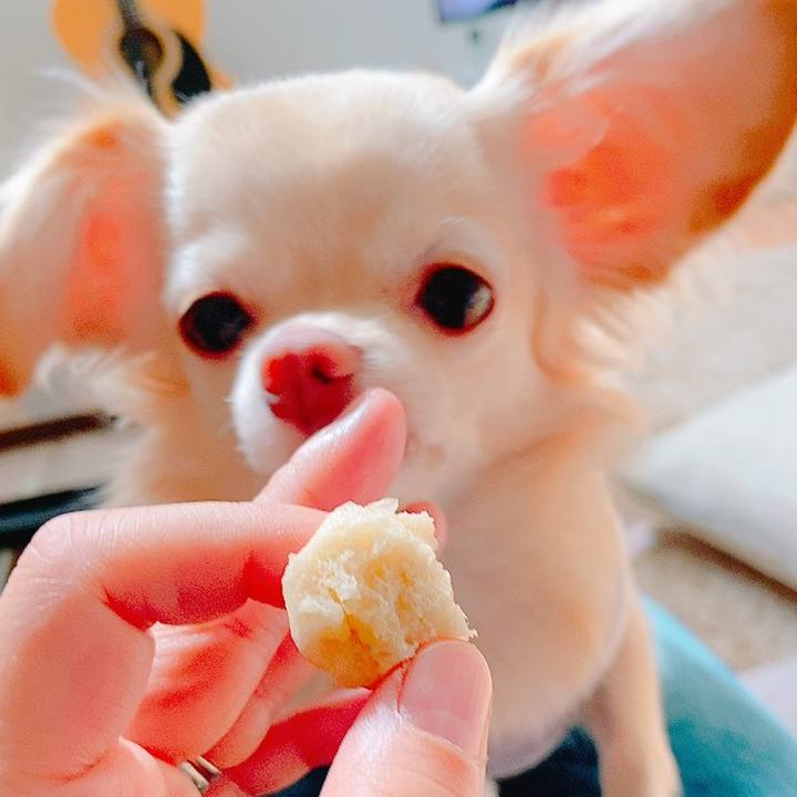 5877cd95 e3bd 4feb 8064 2fc48ace9956 1634267460377