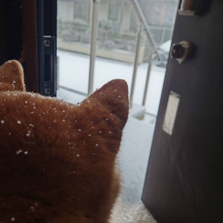 58783cae 4e0e 4589 8b1d 556b96848822 1770525586215