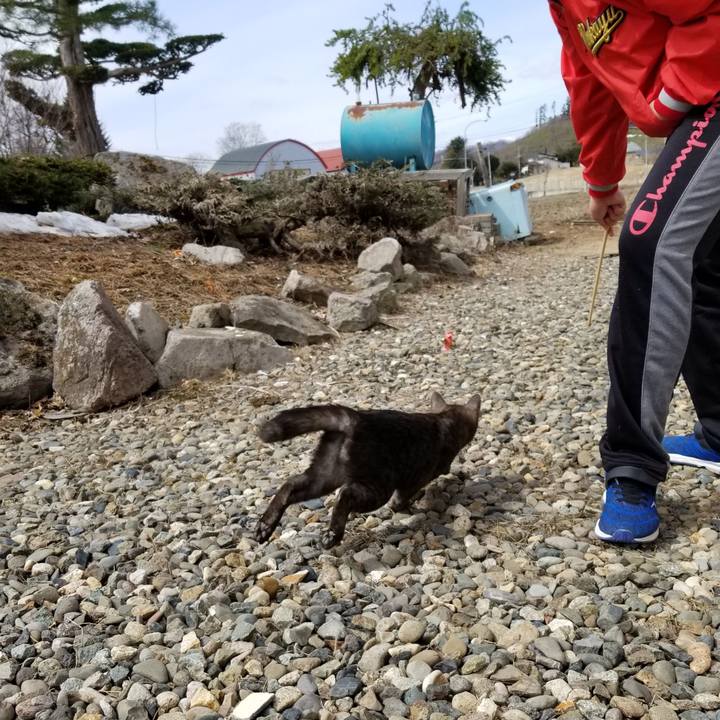 58788a60 8a17 44ee 9cde d1dbb758abff 1587517131767