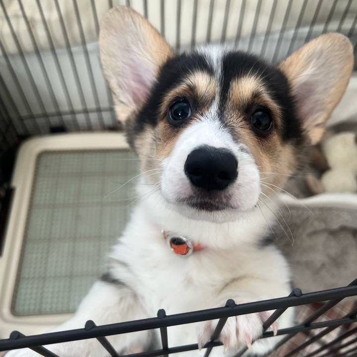 58792c4a 53b6 4579 8ef8 43e2ace7131a 1770082050485