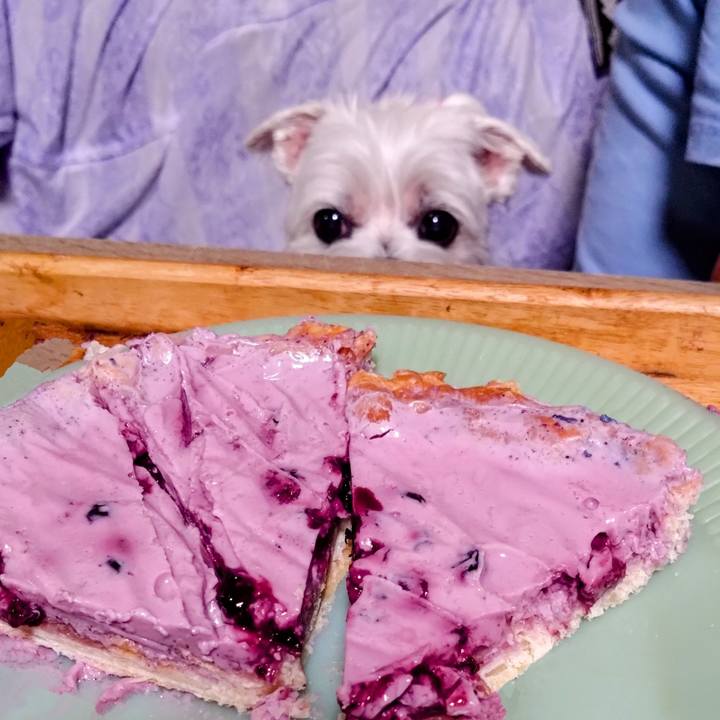 5879a651 f4e0 4b8b 81bb e7717a72a2b6 1754396018205