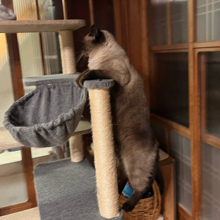 5879cfe6 e2d3 44c3 b65b 83bfc131b8ad 1663818571974