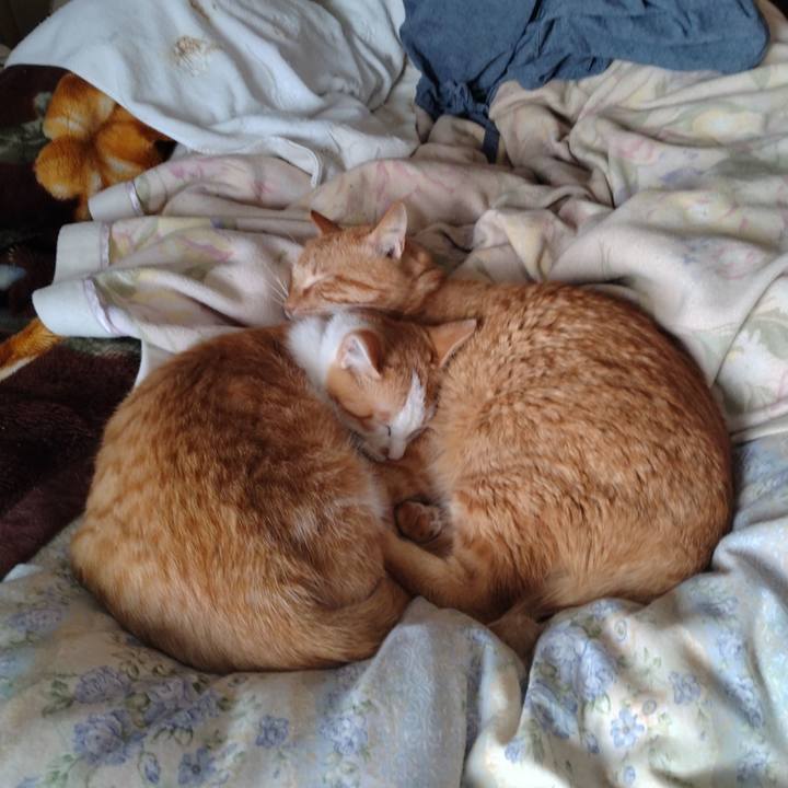 587a01e3 2ade 4ec5 a038 096715cef292 1738893058341