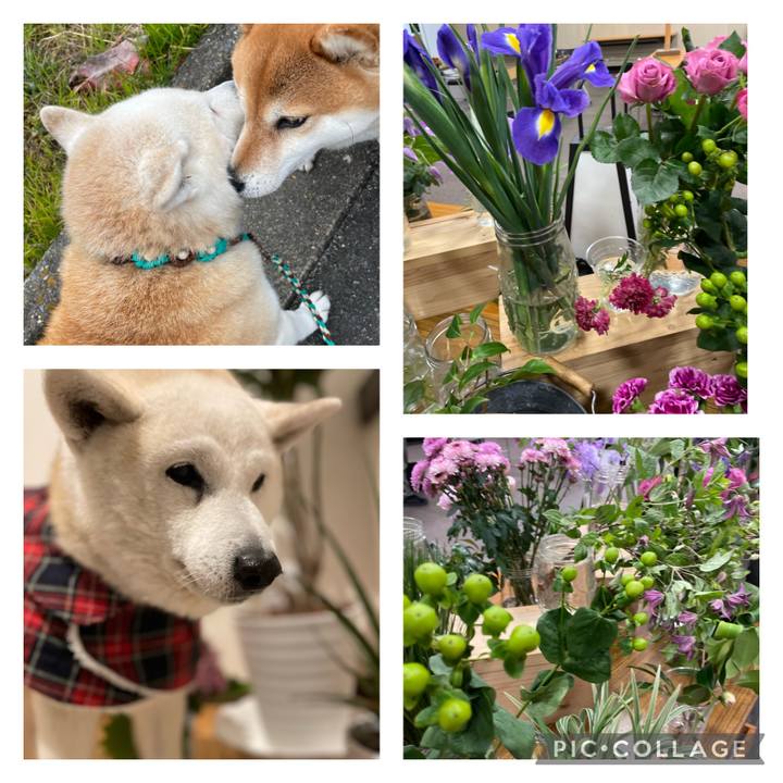 587a11b7 610e 4c14 9740 73d2e1cce135 1677245160802