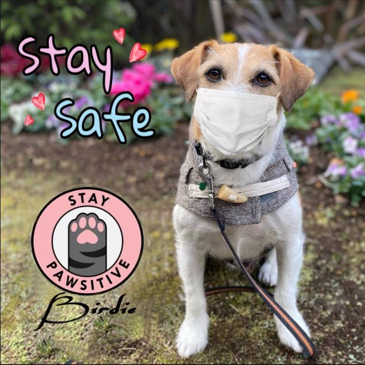 587a372b 2a07 4c8b 8921 59791fd2cff0 1610192638683