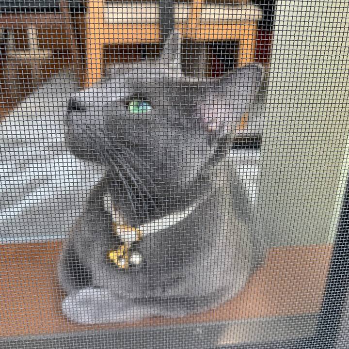 587a3891 dd44 4651 822a 93bc164579e1 1621754850188