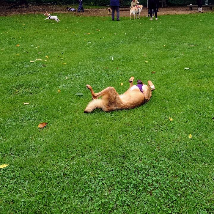 587a522f 25aa 45d8 8e6f 7450b7d6a9cf 1725150387114