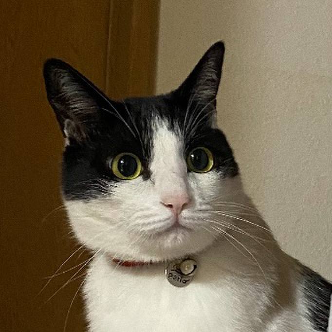 587a76e4 4060 4163 809e 3d999b0ebf14 1728090859183