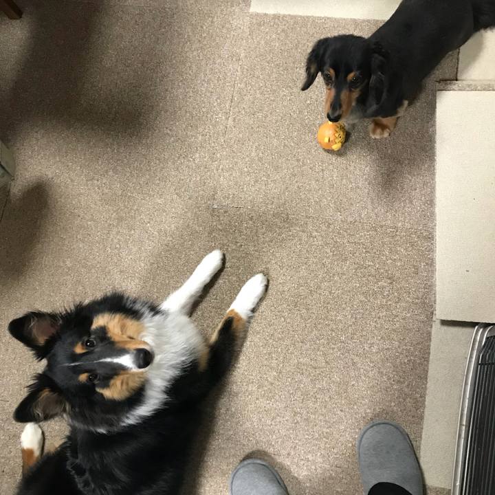 587a79a9 7e43 4f36 8cc9 fd41d0e8890d 1525813699602