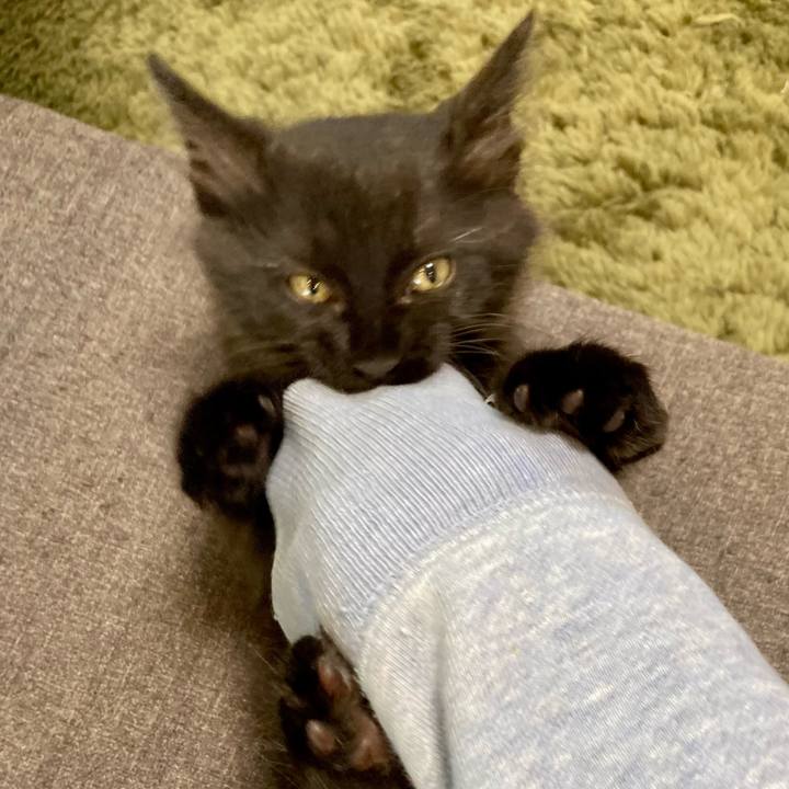 587b1fad b9a0 4e8d 90ce 89681d1149d8 1700055054492