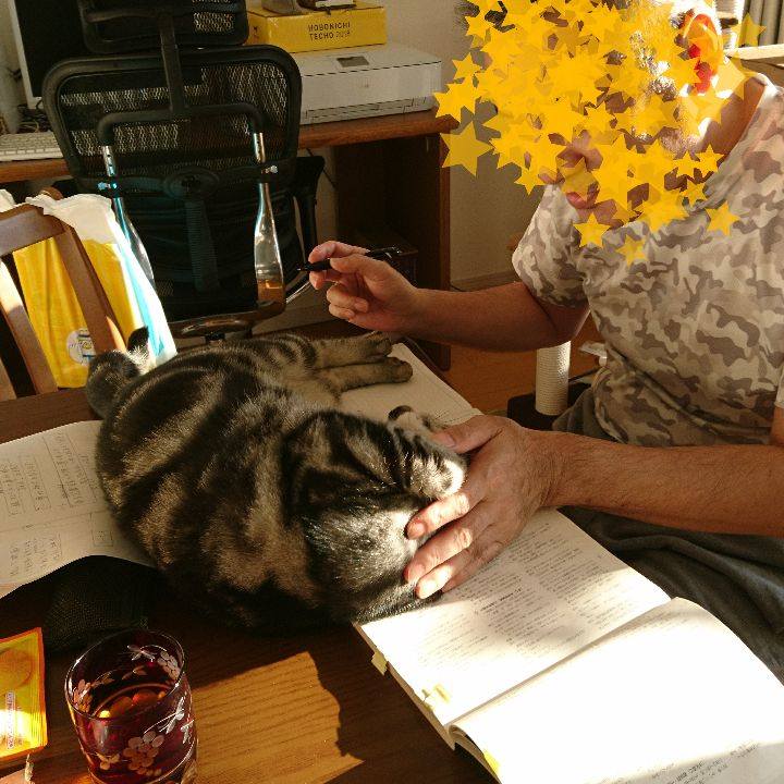 587b5348 9591 44ba 9337 3c31f56ff517 1509951729771