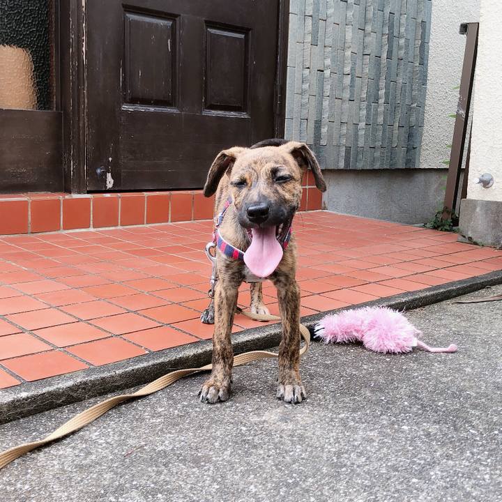 587b5ca8 2880 46c8 8ded 6adb2a61317d 1567738565276