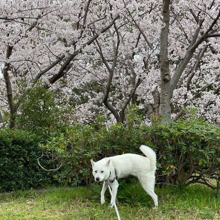 587c0455 a129 4eb9 8854 e6925b7978fd 1648464913837