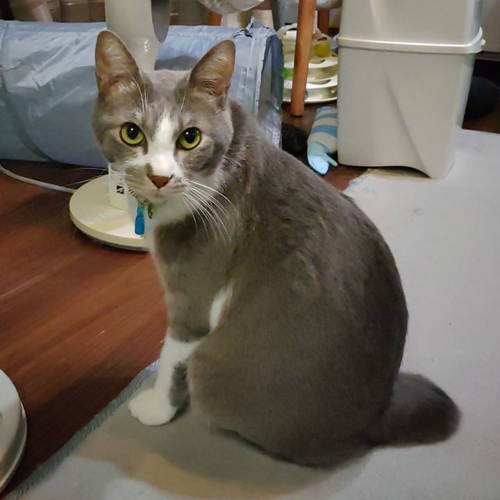 587c0d38 f466 461d bc14 79ad6fd9e7d3 1698493532376