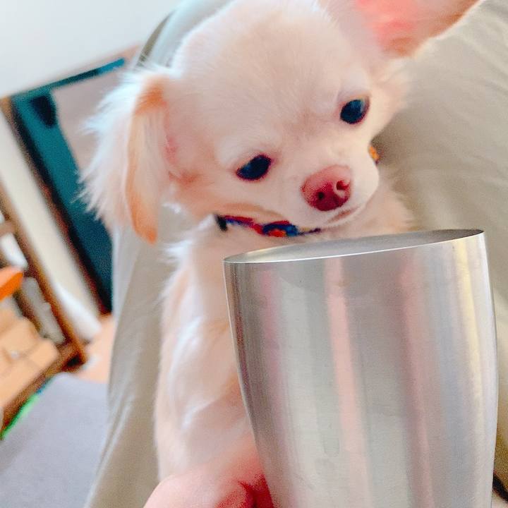 587c1712 cc79 4a12 b7aa 79fa740916e9 1631084749588