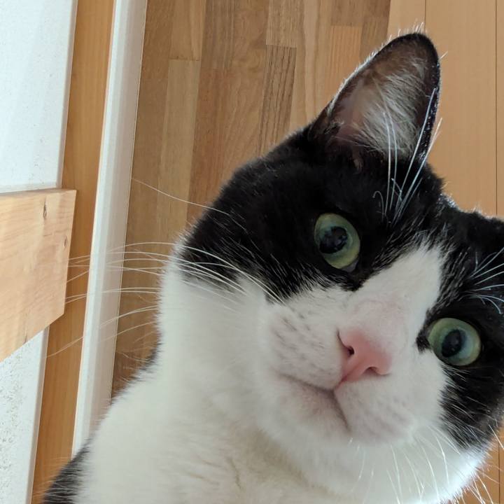 587c22a8 f4be 470a 9f90 0806c8f6fd3c 1762515133719