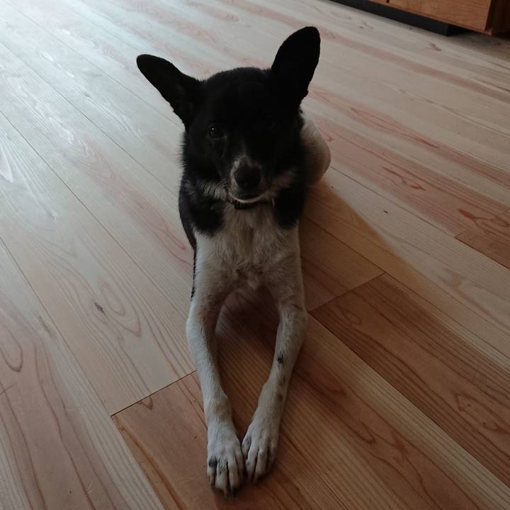 587c7752 995a 4165 bc11 940a75e31b5e 1563926423716