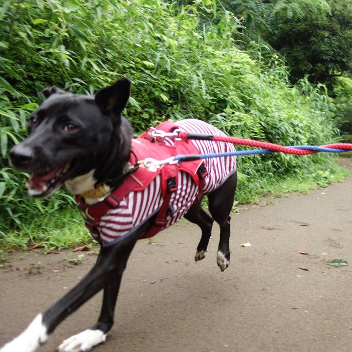 587cace2 8319 4285 b543 f3df1de60bf7 1594512874610