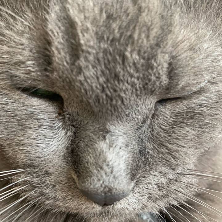 587cb515 6bc0 43ee beac 9f4551927c11 1666403950577