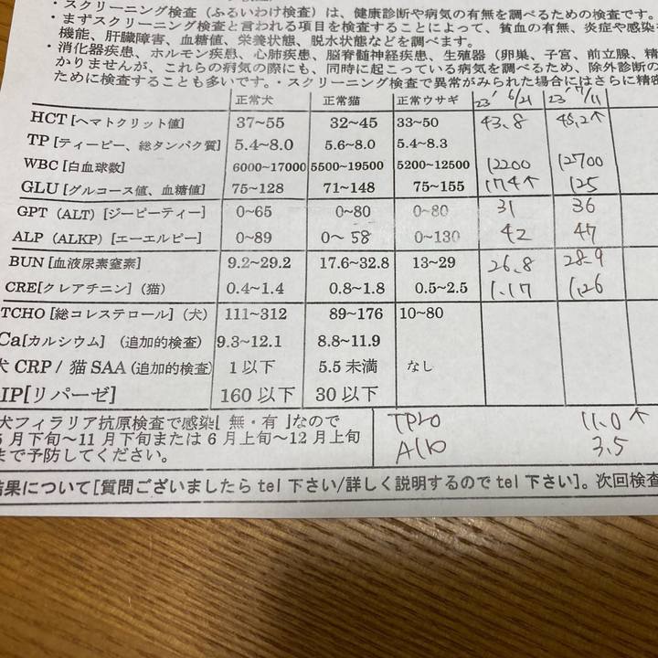 587cbd03 6639 45cc a025 da0855be7932 1689675503418