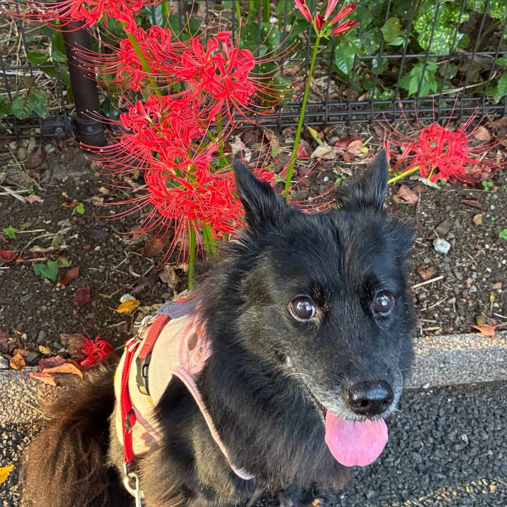 587cc229 aafe 40b0 970e 3cc8f268671c 1759068144631