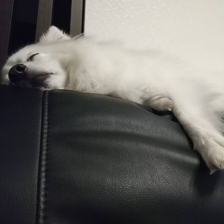 587d03ab 0f3a 43ee 94ad bcfce1aa06bb 1593270240097