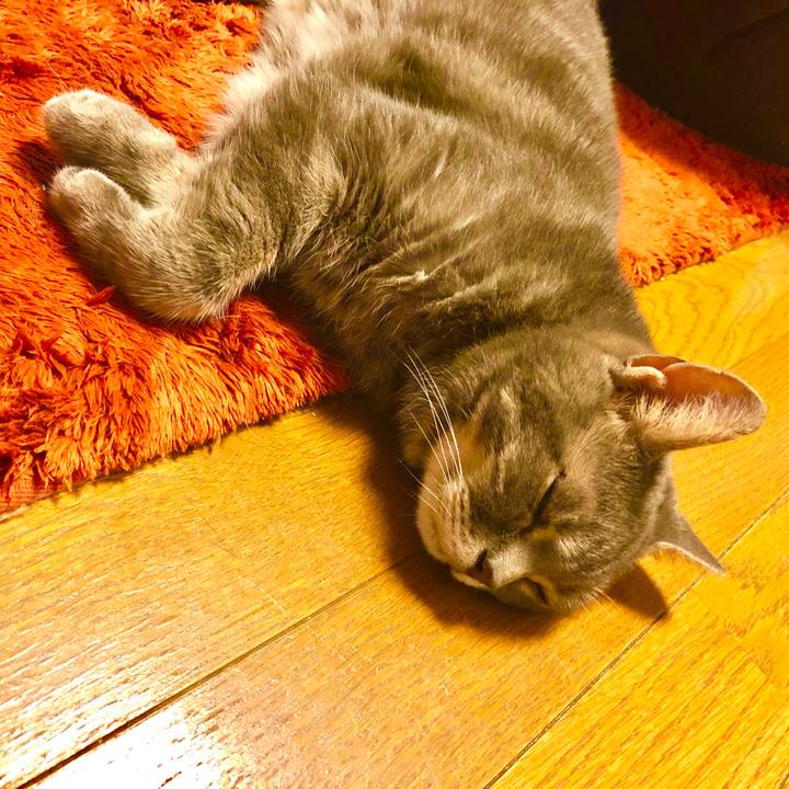 587d4459 a527 4e98 9219 af7589ecfd10 1532958409699