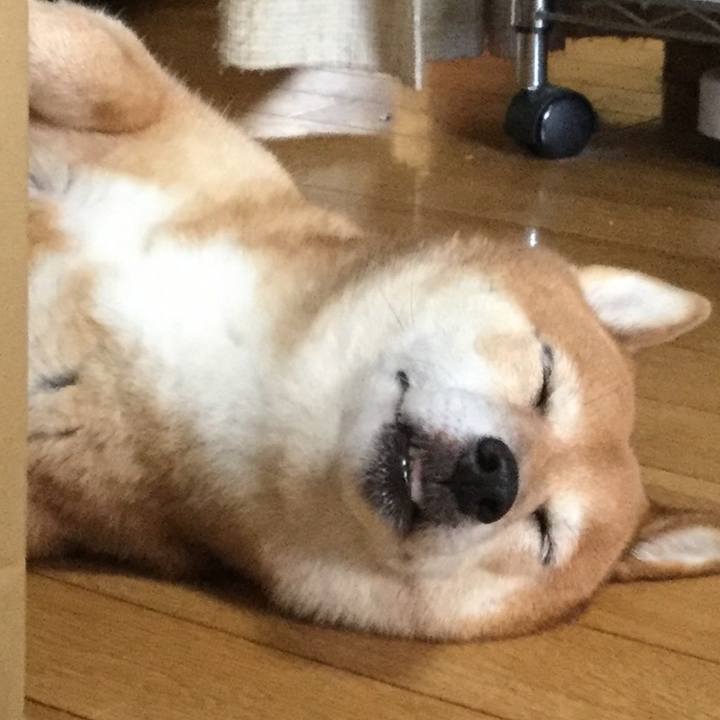 587d4d86 9a45 4fd6 9e2f d5194f0c5947 1565996446646