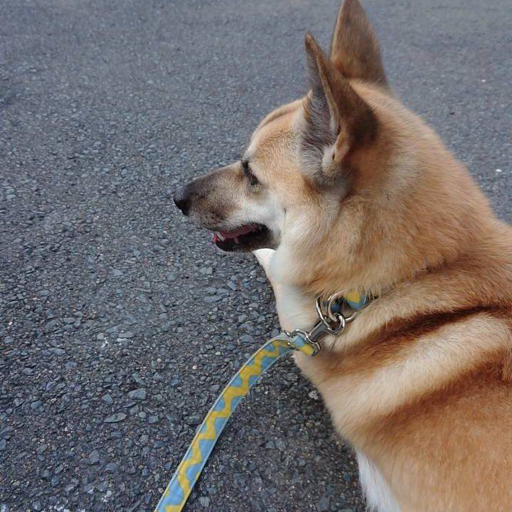 587d5eae 741b 4130 86cb cb06f70b08dc 1531463713780