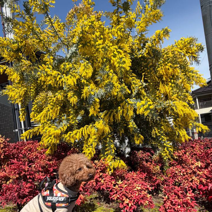 587dcbbd a732 4f70 8a6d 27aa3e131fb6 1772945853117