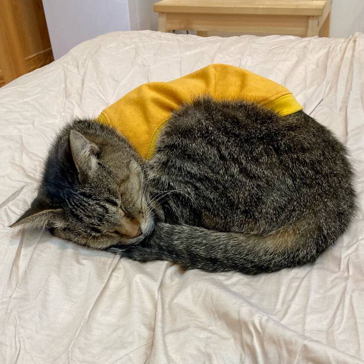 587df6b5 813b 40b9 84b6 6b3f20a5ec89 1681541103381