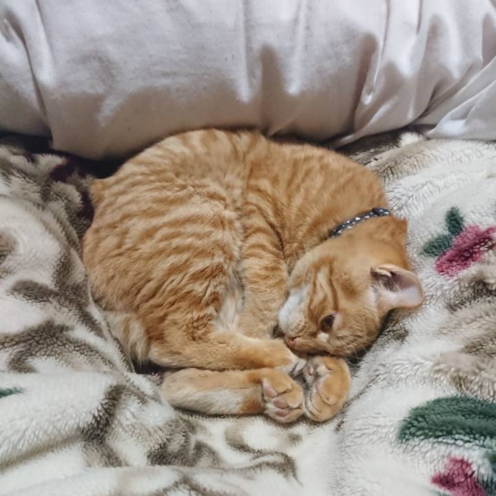 587e21da fab7 4655 a8f0 a4019d1c39f5 1639227151812