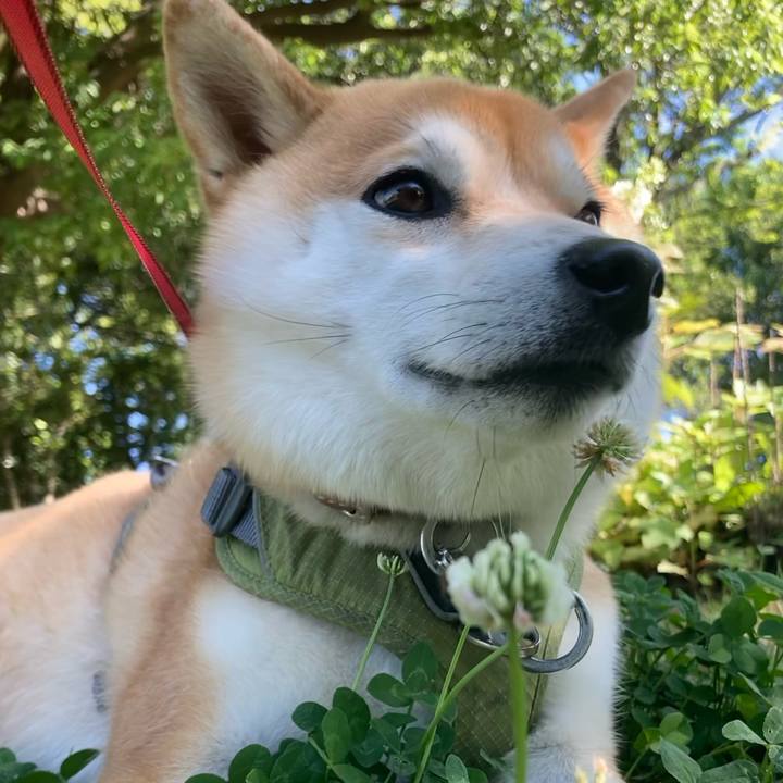 587e4fef 0c5a 4661 a36e 499e19871fcc 1684884359012