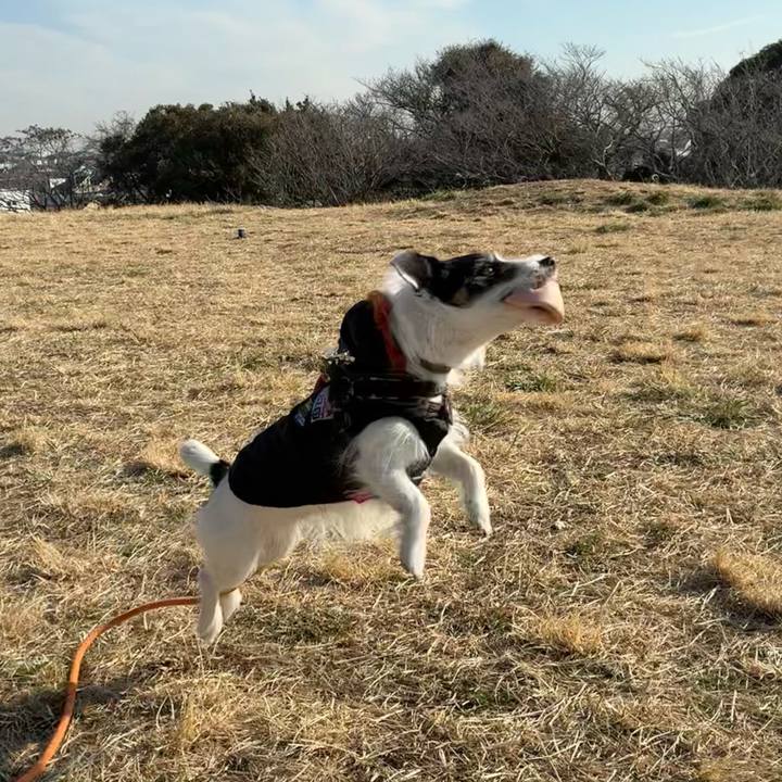 587e58b0 ef71 4d85 bd1a 579e209c7e92 1770341226170