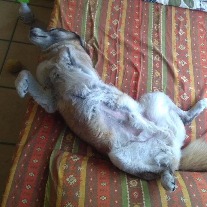 587e8b87 9d35 40d1 82fc 6f5433562cb5 1561165347162