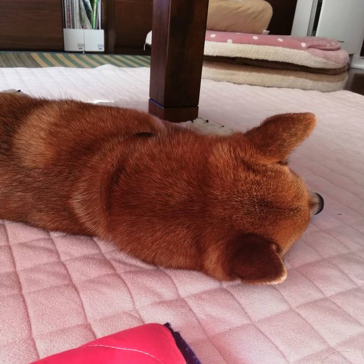 587e9fea 51e1 402c aba4 76f6a89ee271 1603677747704