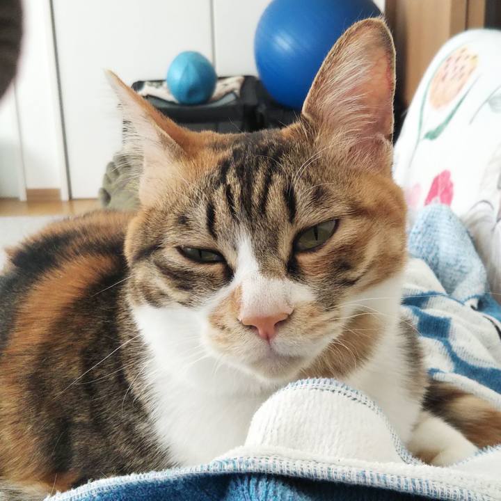 587eb78e 4497 47e0 a26d ac202d54606a 1745379964457