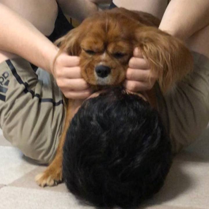 587f003a 24eb 467f a5d5 5416990f686e 1593381491065