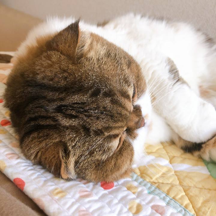 587f0c23 1fc4 49ed acbb 075ac5cbc513 1569892871817