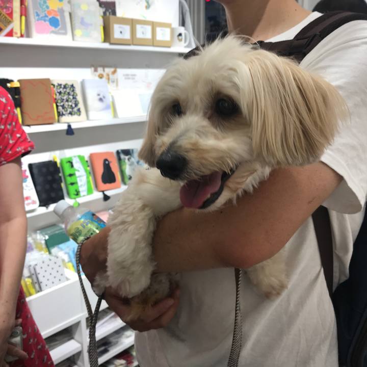 587f1706 3db3 4fc2 893f ac24bbdfaa2b 1535279614990