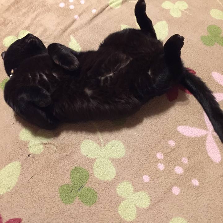 587f7cff 3a22 4ae7 a7b3 35b2c3ceeadd 1577450934421