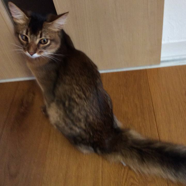 587f8f67 f57c 4d0f 845c f80519e0fe72 1564564045908